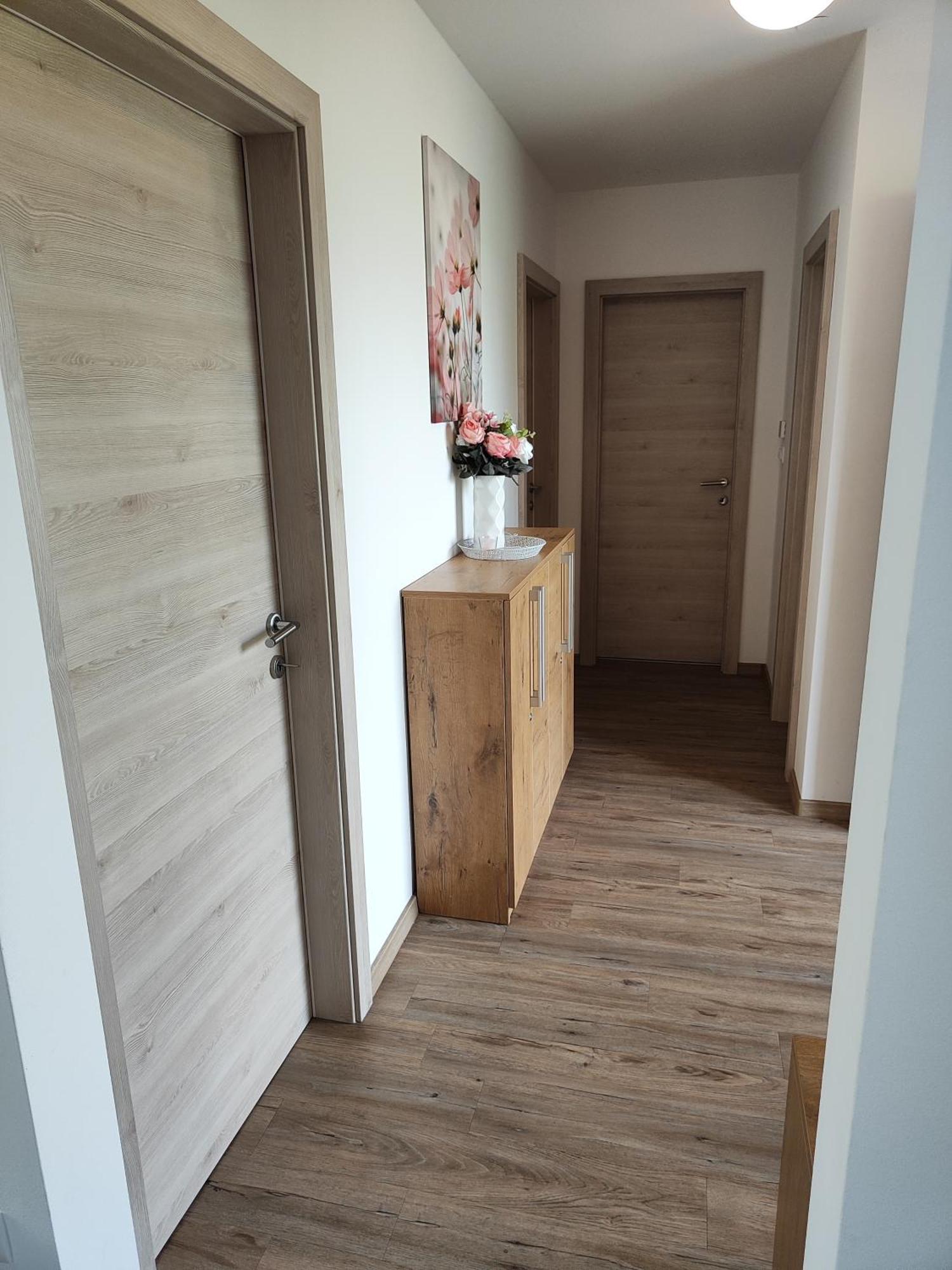 Family Apartment Moravske Toplice Exterior foto